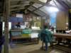 thailand2009102_small.jpg