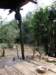 thailand20091030_small.jpg