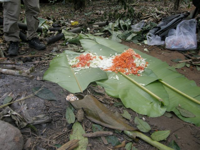 thailand20091033.jpg