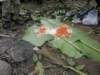 thailand20091033_small.jpg
