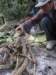 thailand20091036_small.jpg