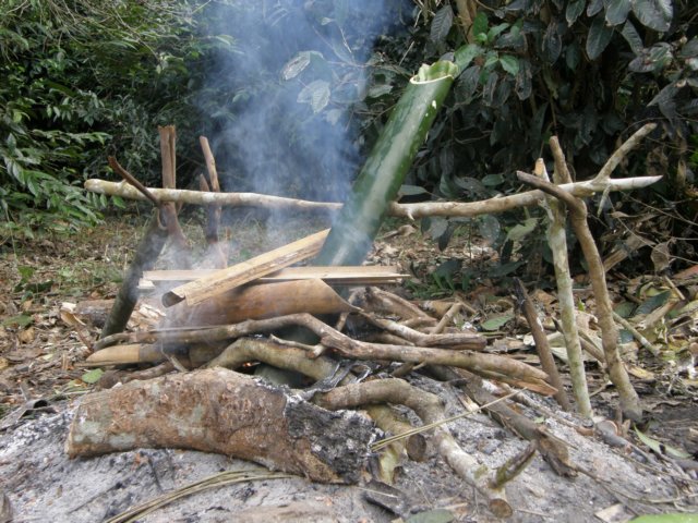 thailand20091038.jpg