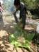 thailand20091042_small.jpg