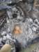 thailand20091044_small.jpg