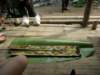 thailand20091048_small.jpg