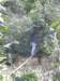 thailand20091049_small.jpg