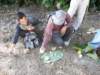 thailand20091054_small.jpg