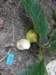 thailand20091056_small.jpg