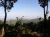 thailand20091057_small.jpg