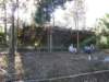 thailand20091058_small.jpg
