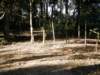 thailand20091059_small.jpg