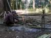 thailand20091060_small.jpg