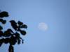 thailand20091061_small.jpg