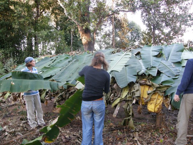 thailand20091064.jpg
