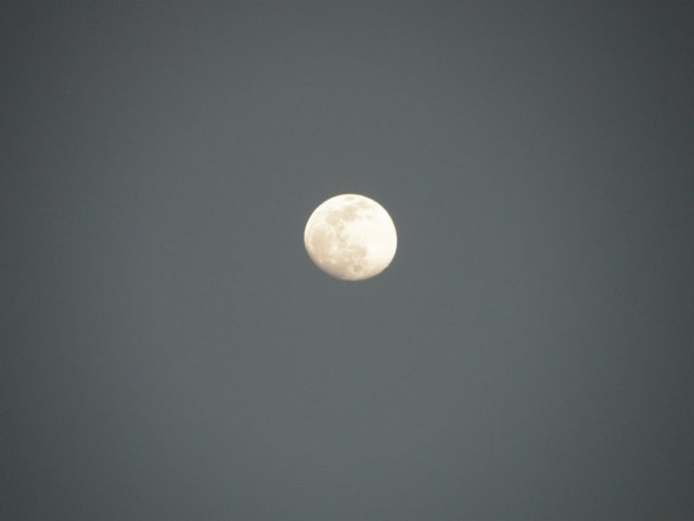 thailand20091071.jpg