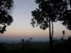 thailand20091072_small.jpg