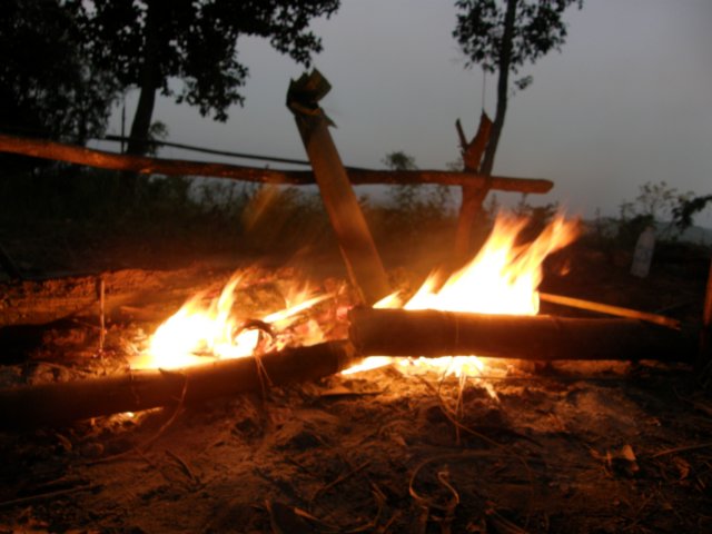thailand20091073.jpg