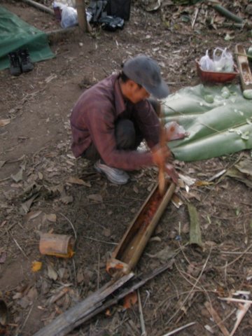 thailand20091074.jpg