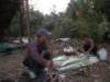 thailand20091075_small.jpg