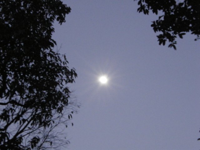 thailand20091076.jpg