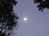 thailand20091076_small.jpg