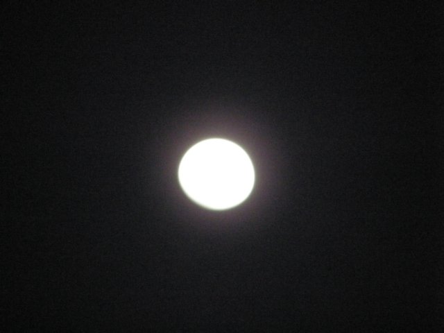 thailand20091077.jpg