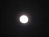 thailand20091077_small.jpg
