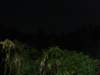thailand2009107_small.jpg