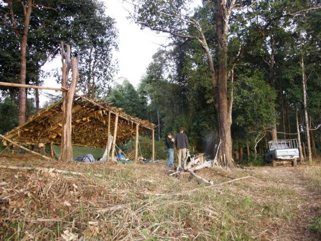 thailand20091091.jpg