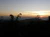 thailand20091095_small.jpg