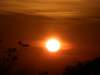 thailand20091099_small.jpg