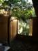 thailand2009109_small.jpg