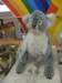 thailand20091042_small.jpg
