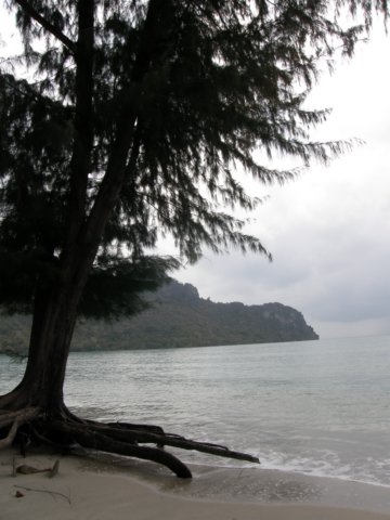 thailand2009104.jpg