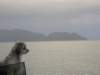 thailand20091042_small.jpg
