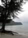 thailand2009104_small.jpg