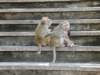 thailand20091051_small.jpg