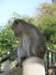 thailand20091052_small.jpg