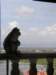 thailand20091054_small.jpg