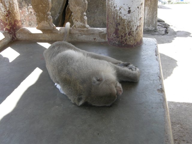 thailand20091056.jpg