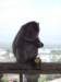 thailand20091058_small.jpg