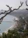 thailand20091067_small.jpg