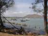 thailand20091069_small.jpg