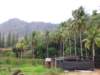 thailand20091072_small.jpg