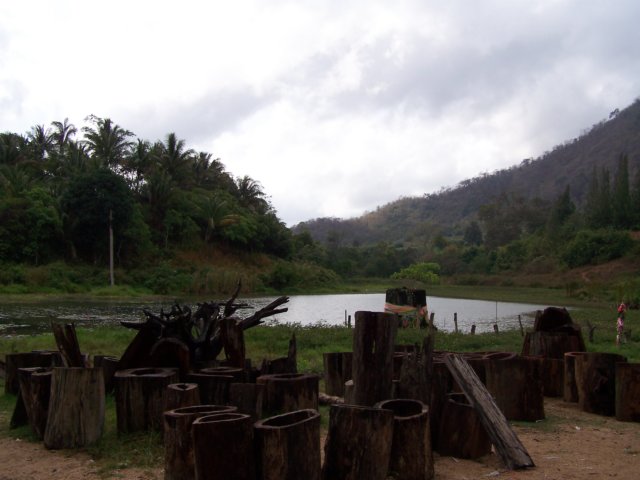 thailand20091073.jpg