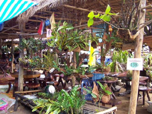 thailand20091074.jpg