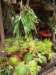 thailand20091076_small.jpg