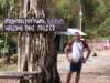 thailand20091078_small.jpg