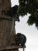 thailand2009107_small.jpg