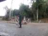 thailand20091082_small.jpg